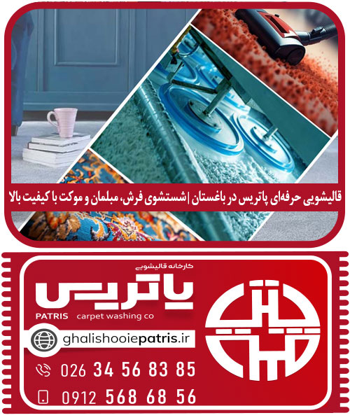 قالیشویی حرفه‌ای پاتریس در باغستان