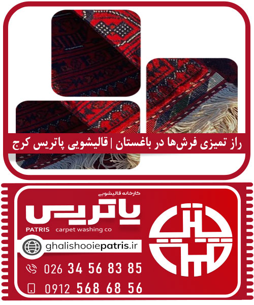 راز تمیزی فرش‌ها در باغستان